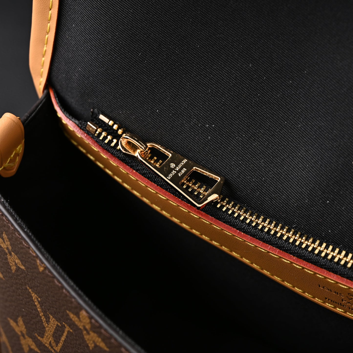 Louis Vuitton Croissant Bag Monogram Canvas